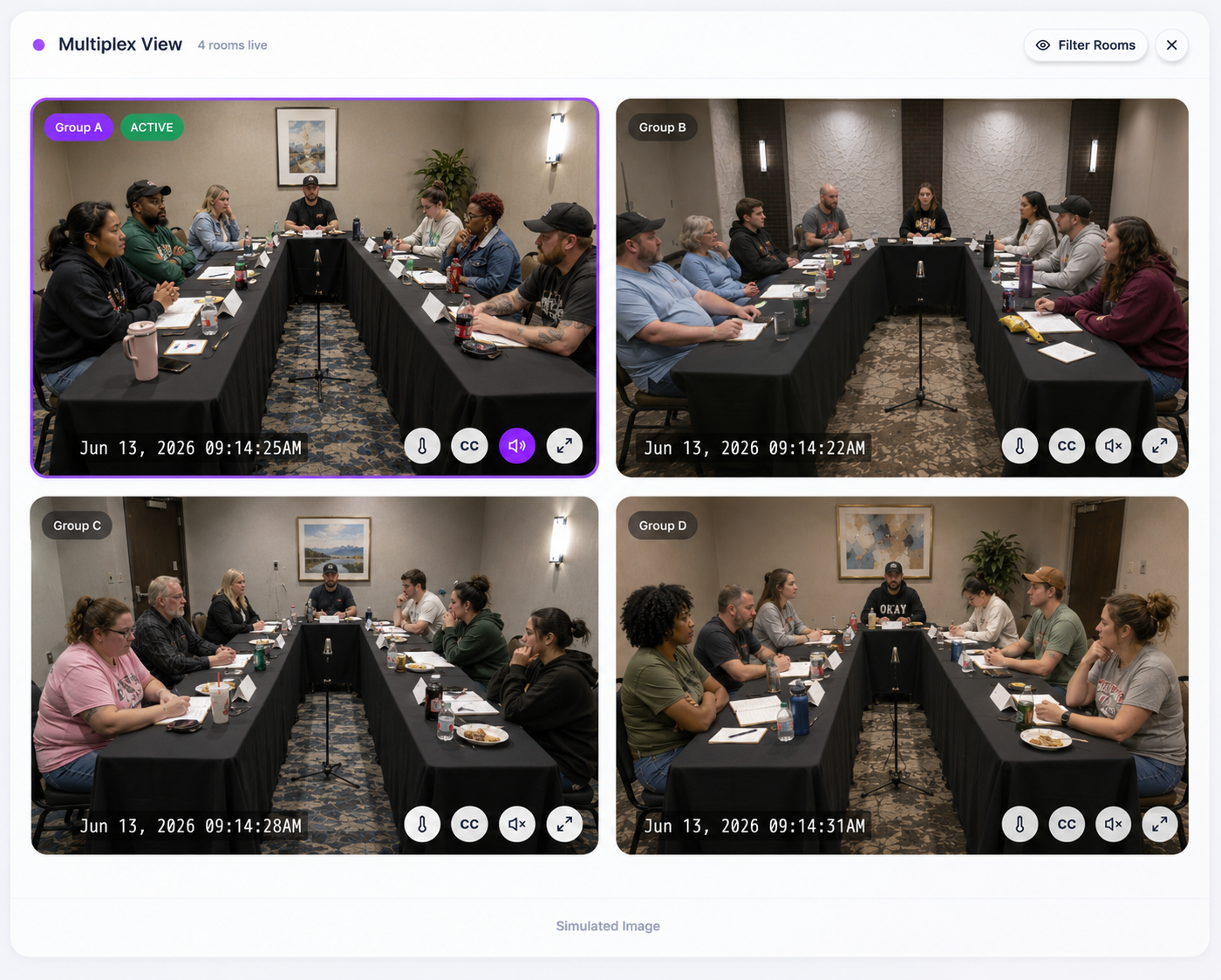 Multiplex view showing all rooms simultaneously